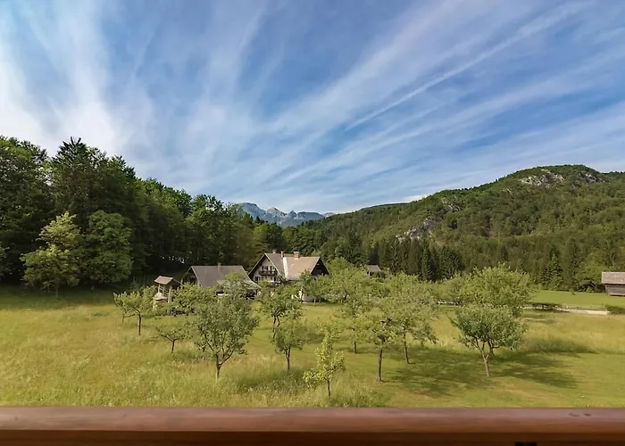 アパート Henigman *